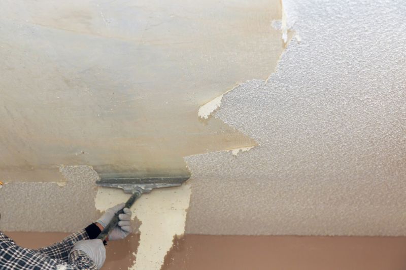Ceiling Scraping in Terre Haute, IN